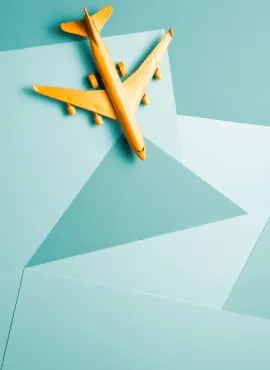 VIP services